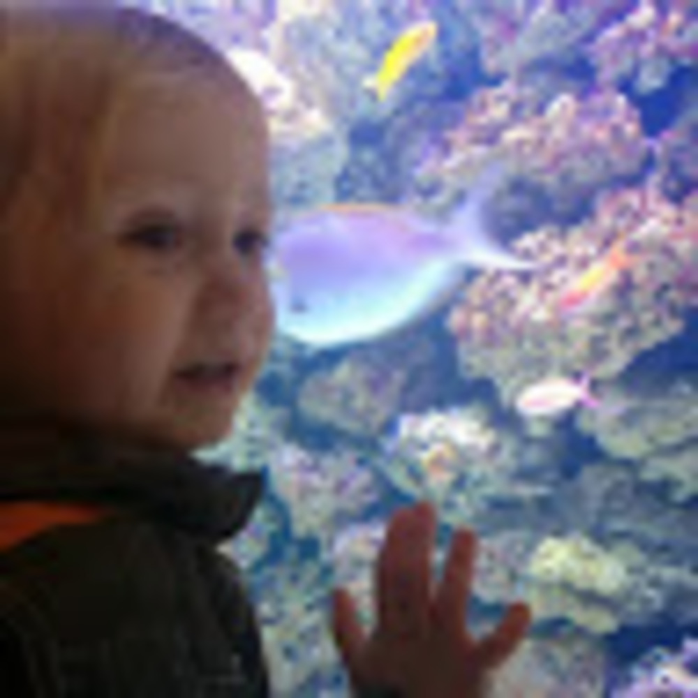 Meet your Posher, Janice